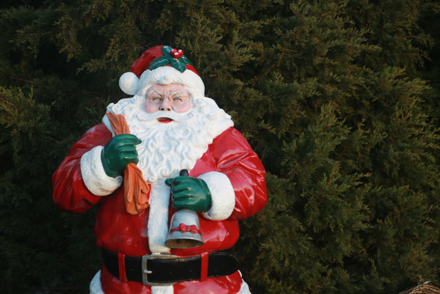 Santa's Christmas Tree Farm in Cutchogue headed to auction - The ...