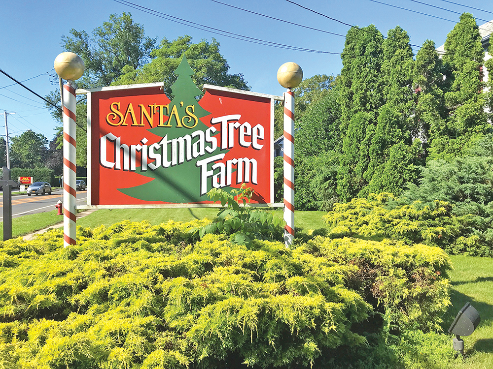 Santa's Christmas Tree Farm sold at auction to Stefan Soloviev