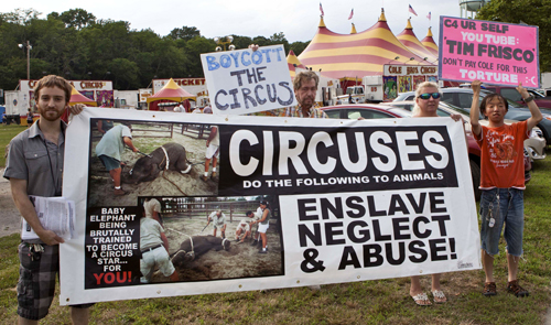 Protestors outside the Cole Bros. circus in Greenport in 2013. (Credit: Katharine Schroeder, file)