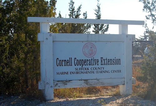 Cornell Cooperative Extension's lab at Cedar Beach in Southold. (Cyndi Murray photo)