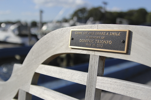 A memorial bench was dedicated to Dominic Trionfo last summer at Strong’s Marina in Mattituck. (Credit: Jen Nuzzo)