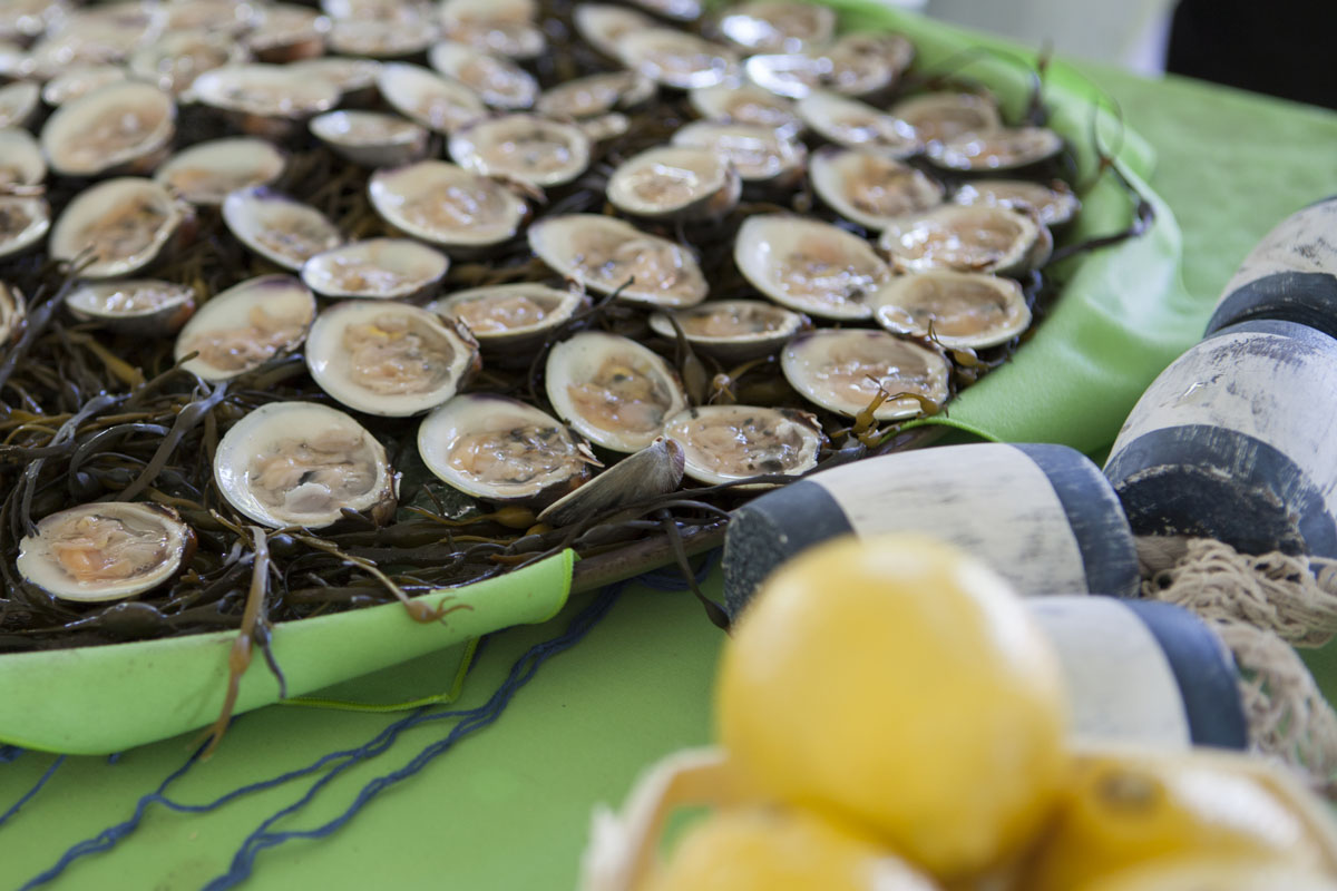 Fresh clams from Christopher Michael catering. (Credit: Katharine Schroeder)