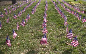 More than 200 flags adorn the lawn outside the Presbyterian Church in Cutchogue. (Credit: Paul Squire)