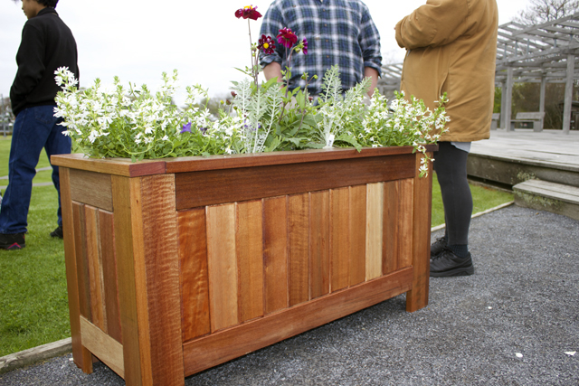 The first planter box, which was placed in Mitchell Park Thursday morning. The other 19 will be put out around Front and Main Streets at a later date. (Credit: Nicole Smith)