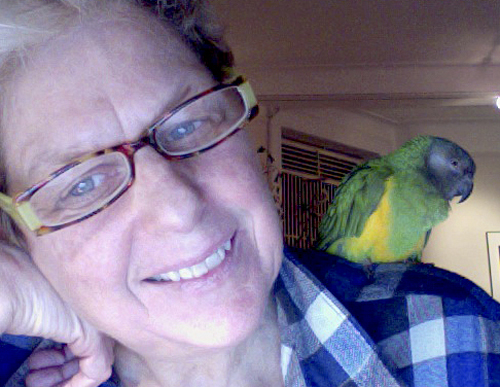 Joyce Culver and her Senegal parrot, LuLu.