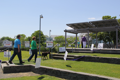 Participants and their furry companions walked around the waterside park.