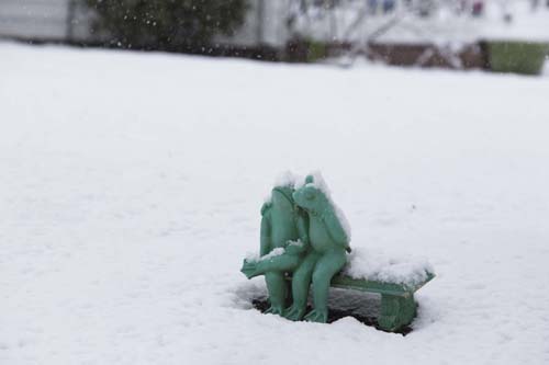 KATHARINE SCHROEDER PHOTO | Snowy friends in a Cutchogue front yard.