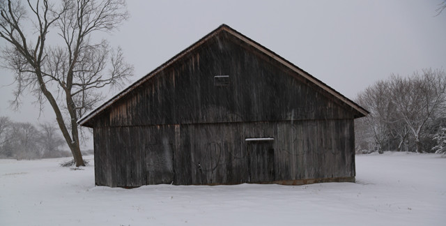 Southold barn at 8:30 a.m.