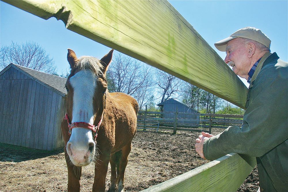 Gene Davison visits with his horse, Sudie, a Dutch warmblood. (Credit: Barbaraellen Koch)