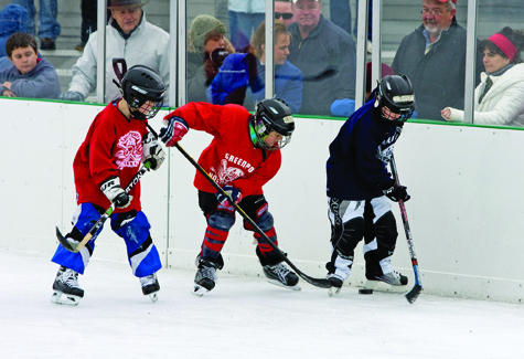 The Greenport Pirates Hockey Fest takes place Saturday, Feb. 12, from 11 a.m. to 6 p.m. at the Mitchell Park rink, with youth hockey games, skill competitions, curling and appearances by the New York Islanders’ Ice Girls and mascot Sparky the Dragon. Opening ceremonies start at 1:50 p.m.