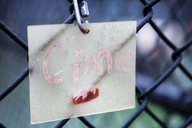 Cinnie's weatherworn name sign hangs on her outdoor kennel. (Credit: Katharine Schroeder)
