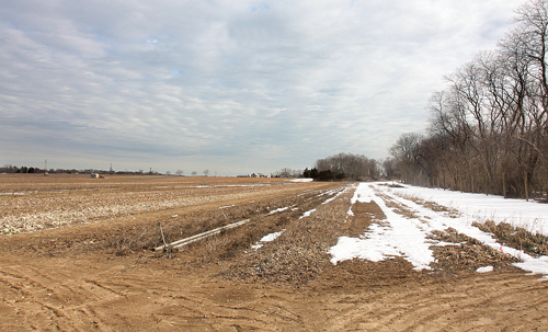 The Town recently purchased these 16 acres of farmland across from Lucas Ford on Hortons Lane in Southold for preservation.  (Credit: Barbaraellen Koch file photo)