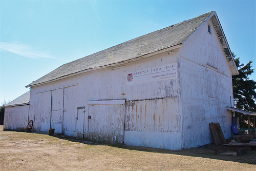 The development of Peconic Land Trust's Agricultural Center began in 2008 with the purchase of the Charnews family farm on Youngs Avenue, which now hosts the community garden program. The property's historic barn was built in 1940 and the Land Trust leases its space for its tenant, or incubator, farmers. (Credit: Barbaraellen Koch)