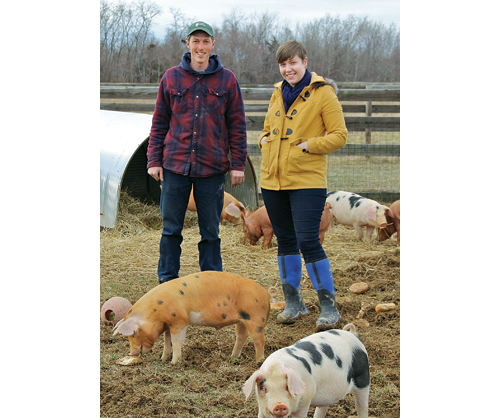 Thomas and Brianne Hart purchased their Main Road farm in Southold in December. (Credit: Carrie Miller)