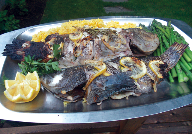 Grilled black sea bass and blackfish accompanied by saffron rice and asparagus. (Credit: John Ross, file)