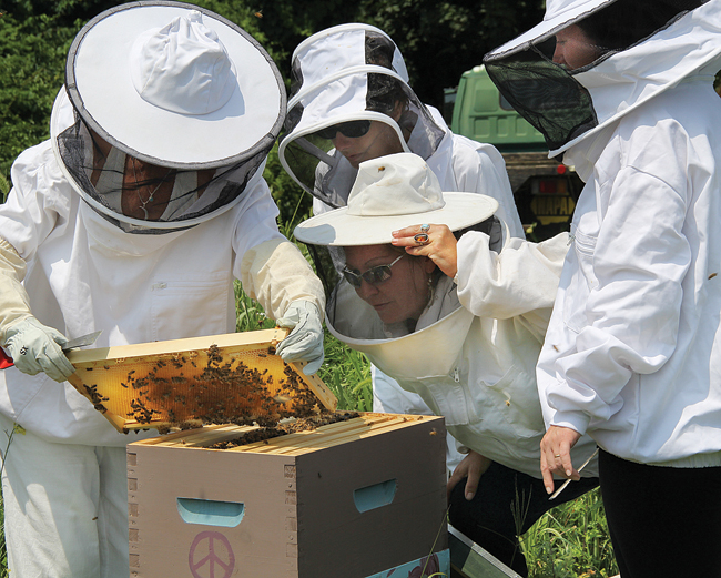 Hippy Hive HoneyBee Cooperative member Sarah Shepherd (center), who has been keeping bees for about five years, takes a good look at what is happening inside a hive, explaining to other members what's happening. (Credit: Carrie Miller)