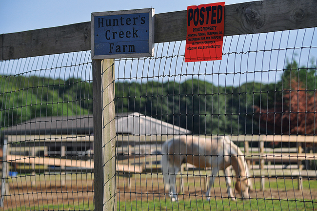 The Hunter's Creek location on Bergen Avenue in Mattituck, already in operation, is run by horse trainers Salvatore Gandolfo Jr. and Danielle Gandolfo. They are now looking to lease property and operate a Main Road horse farm, also in Mattituck, being planned by Showalter Farms LLC. (Credit: Grant Parpan)