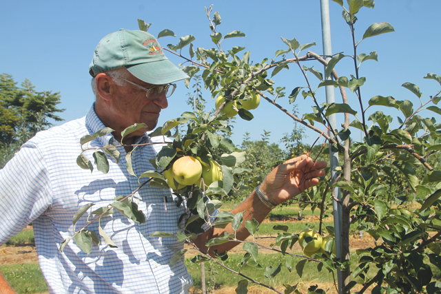 Wickham's Fruit Farm owner Tom Wickham was recently honored for implementing environmentally sustainable practices to preserve groundwater quality. (Credit: Nicole Smith)