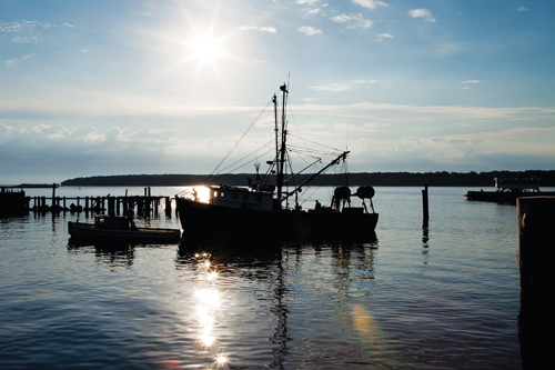 KATHARINE SCHROEDER PHOTO  |  A commercial fishing boat docked in Greenport.