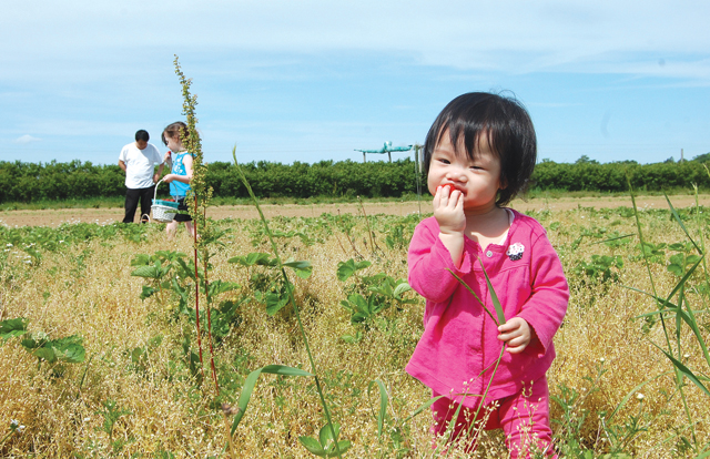 Emma Abigail Kim, 1, of Williamsburg munches on a berry at Patty's Berries in June. (Credit: Vera Chinese)