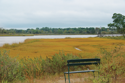 The view of Wickham Creek in Cutchogue from West Creek Avenue. The creek has been off limits to baymen since 2007. (Credit: Carrie Miller)