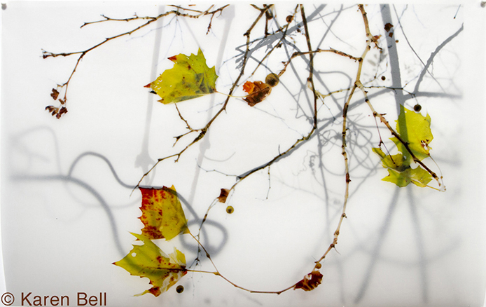 "Green Leaves" by Karen Bell.