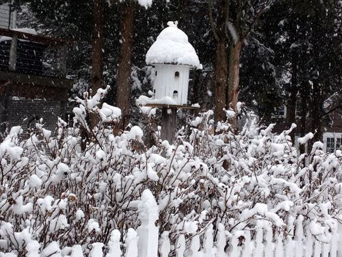 Nestled in — A bird house  in Laurel. (Catherine Irwin courtesy photo)