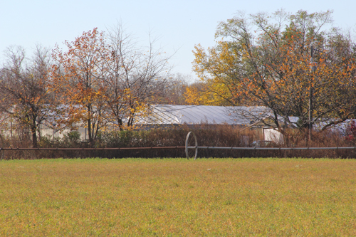 Like many agricultural parcels in Southold Town, Marratooka North Farm, an 18-acre farm off Main Road in Mattituck, is preserved land and can't be developed. (Credit: Carrie Miller file)