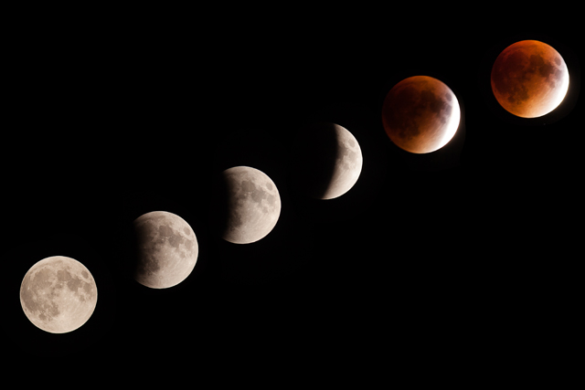 Phases of the super moon lunar eclipse over Cutchogue Sunday evening. (Credit: Katharine Schroeder)