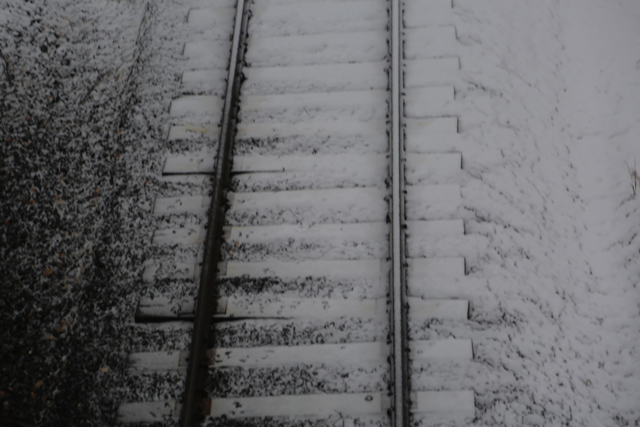 Railroad tracks in Southold around 8 a.m.