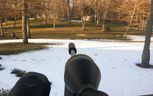 A federal sharpshooter's view from an elevated box blind on a Nassau Point property during a 2013 deer cull. (Courtesy photo)