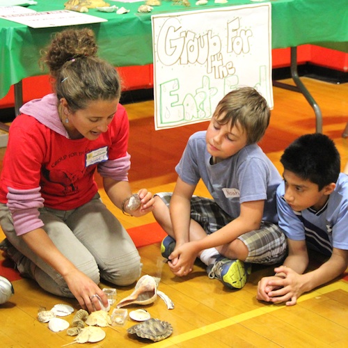 Students learn about shells and sea life from Group for the East End. 