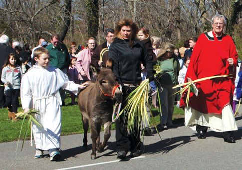 In celebration of Palm Sunday, Father Peter Garry, pastor of St. Patrick R.C. Church in Southold, leads a procession to commemorate Jesus' triumphal entry into Jerusalem on a donkey.